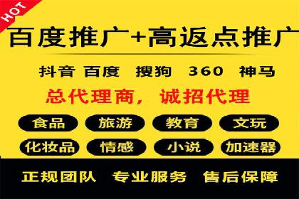 竞价推广的技巧与案例分享